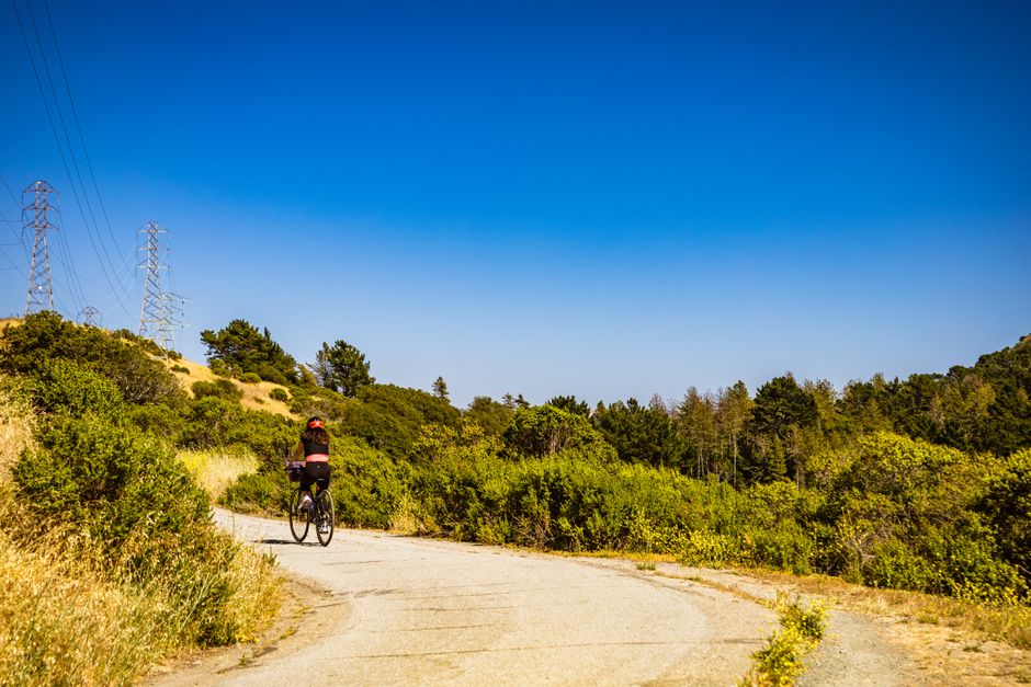 A Balanced Approach To Wellness: Myths and Facts