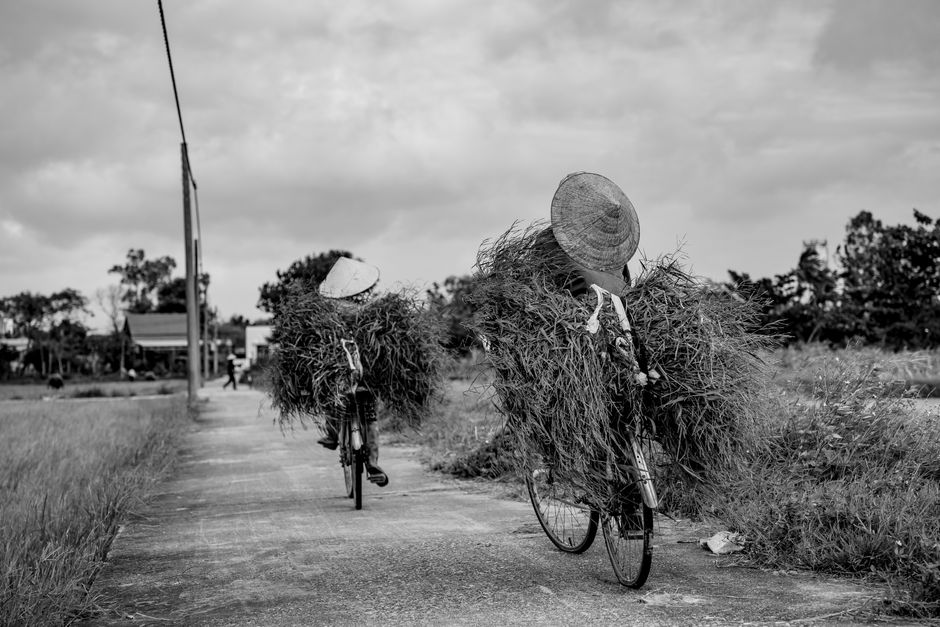 Ageing Well: Sorting Fact From Fiction