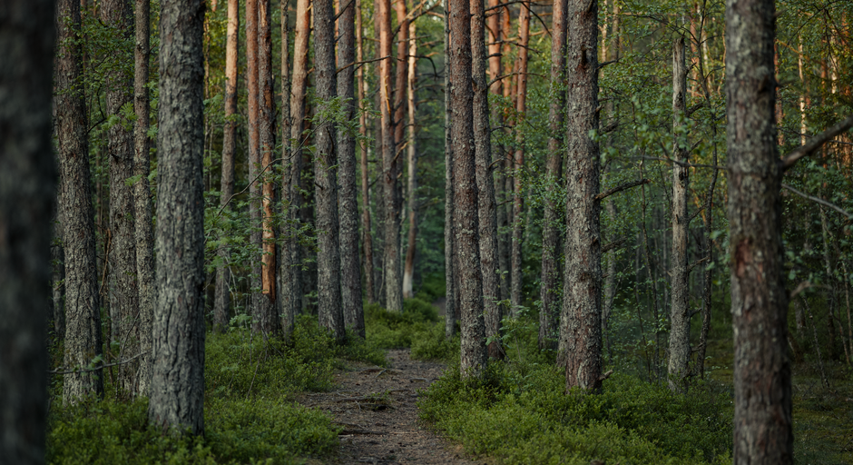 How to Build Genuine Social Connection for Long-Term Health