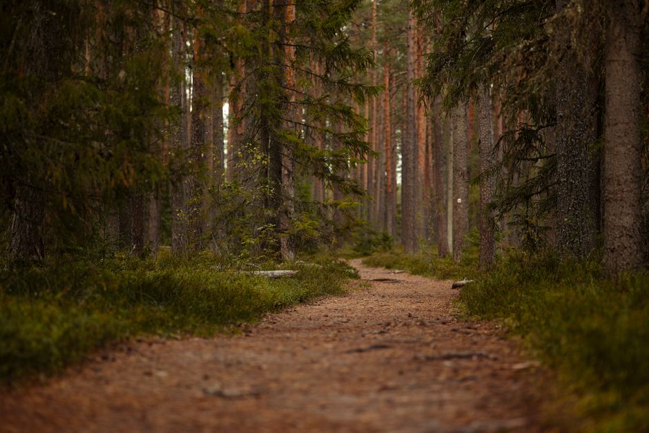 Building a Daily Routine Around Health As A Daily Practice — Part 2