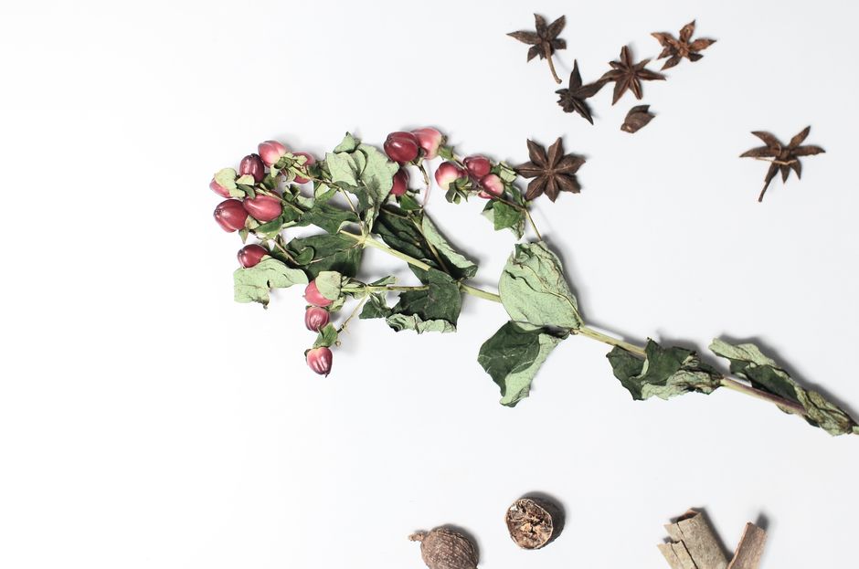 Building a Daily Routine Around Hydration, Breath And The Overlooked Basics — Part 2