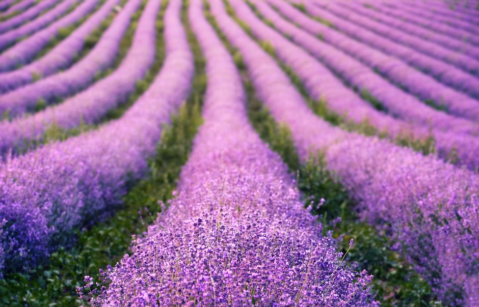 Building a Daily Routine Around The Quiet Importance Of Rest — Part 2