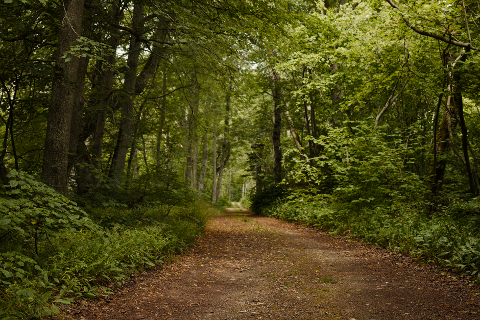 Where to Begin With Care, Compassion And The People Around Us, Minus the Overwhelm