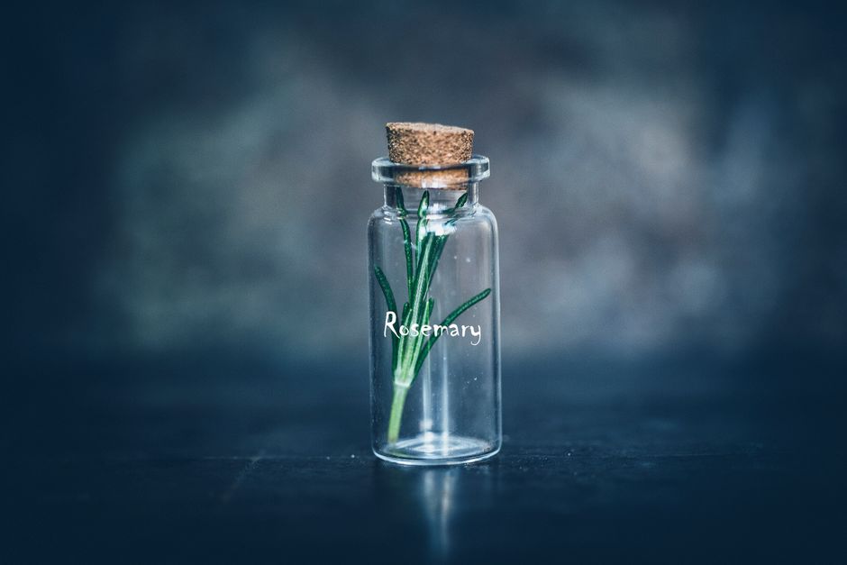 Getting Started With Gut Health Beyond The Marketing