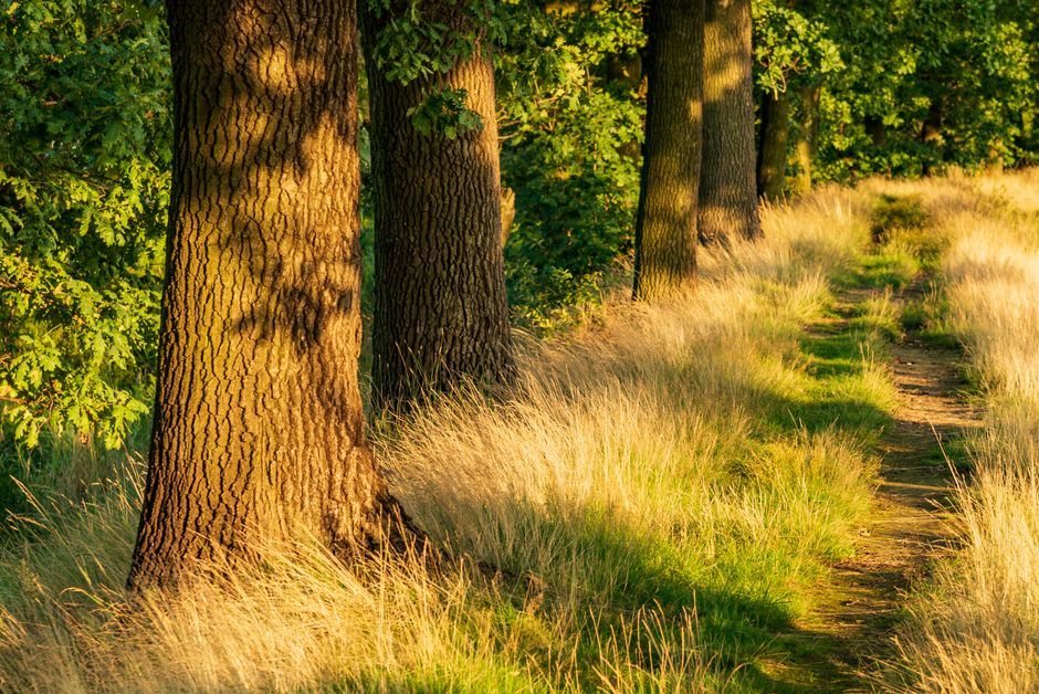 Getting Started With Health And Uncertainty