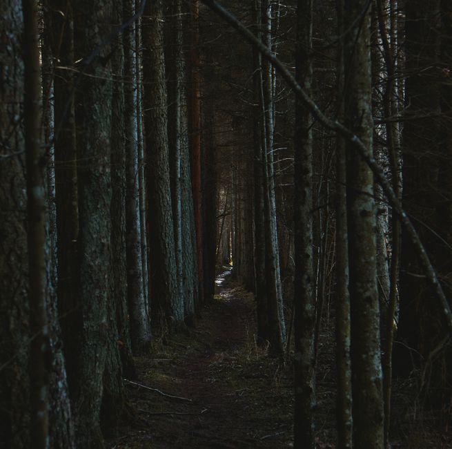 Health As A Daily Practice as a Daily Habit