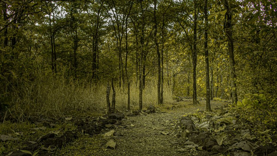 Health As A Daily Practice: Myths and Facts