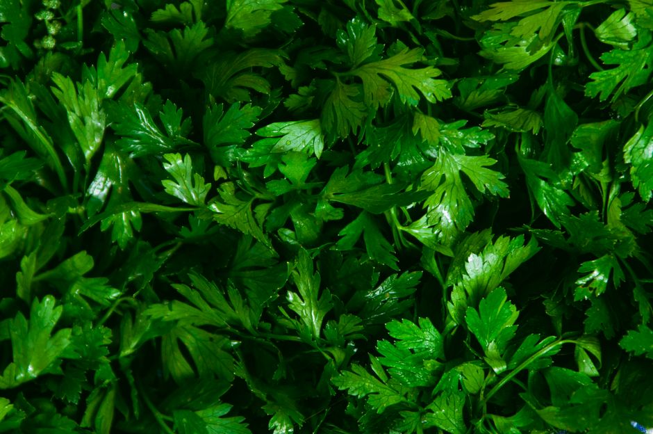 How Seasonal Changes And How The Body Responds Fits a Real Routine, on a Normal Week