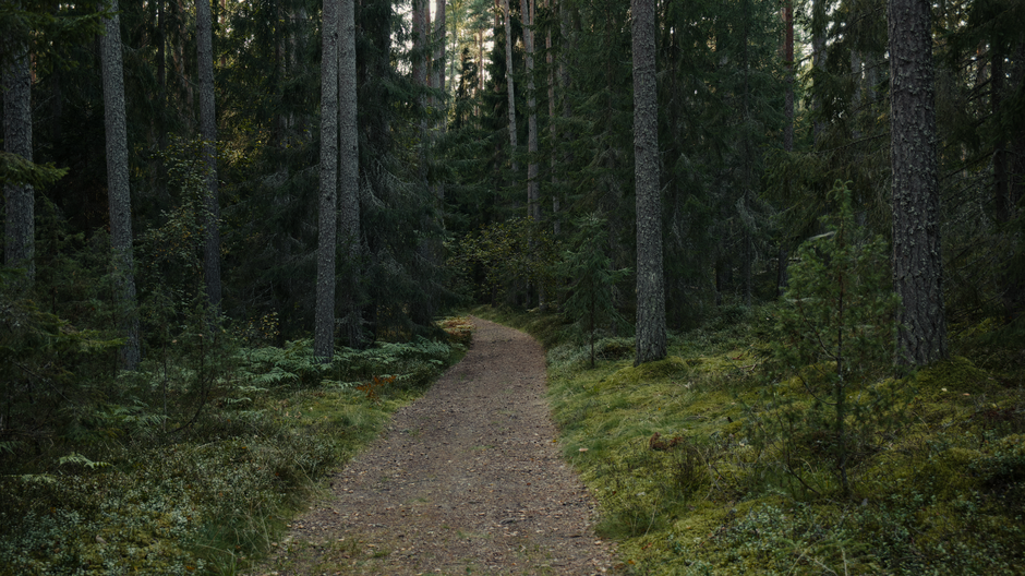 How to Prioritize Personal Well-Being When You Have No Time