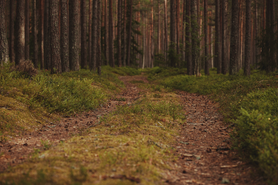 How to Support Loved Ones Without Burning Out Your Mental Health