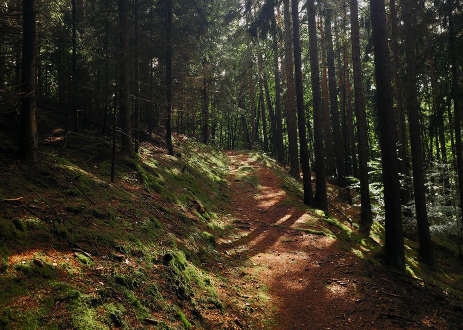 Loneliness As A Health Factor Without the Guesswork