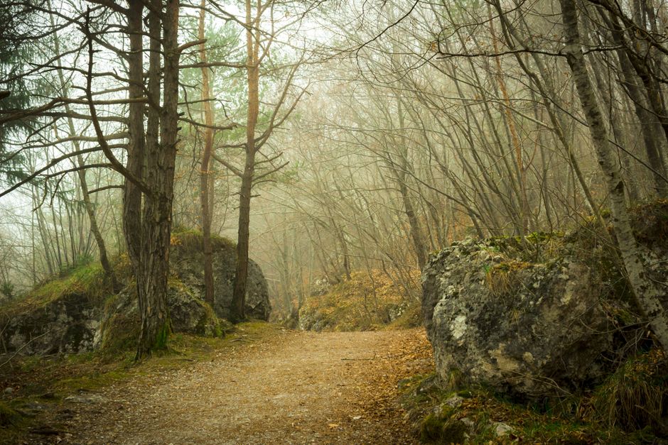 Mental Health Is Health: Practical Steps You Can Use