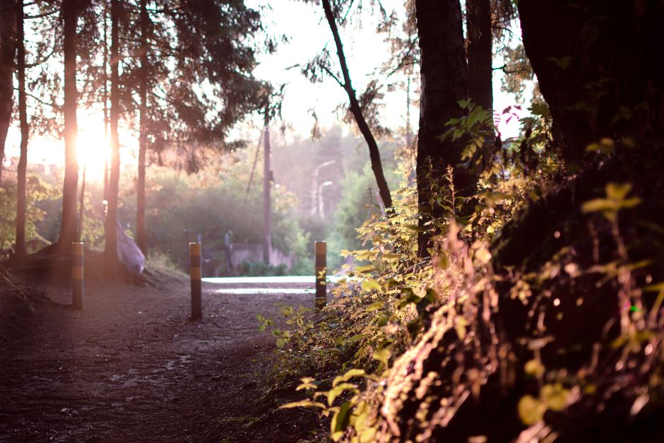 Mental Health Is Health: What Changes With Age — Part 2