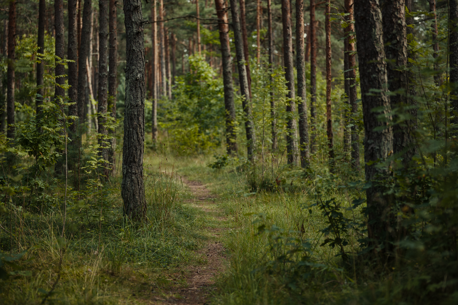 Motivation, Discipline And Self-Compassion: A Time-Friendly Approach