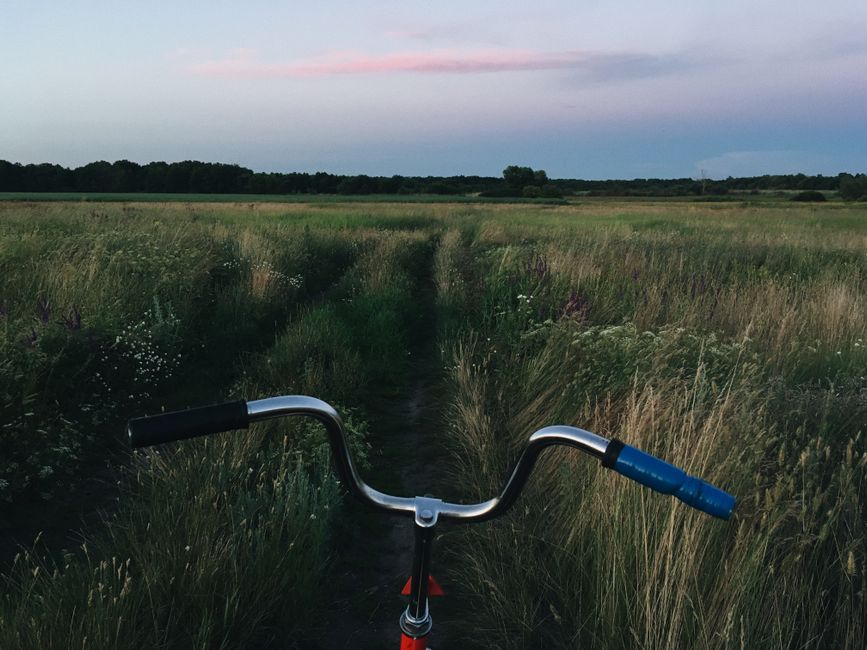 Recovery, Rest Days And Overdoing It: What Actually Works