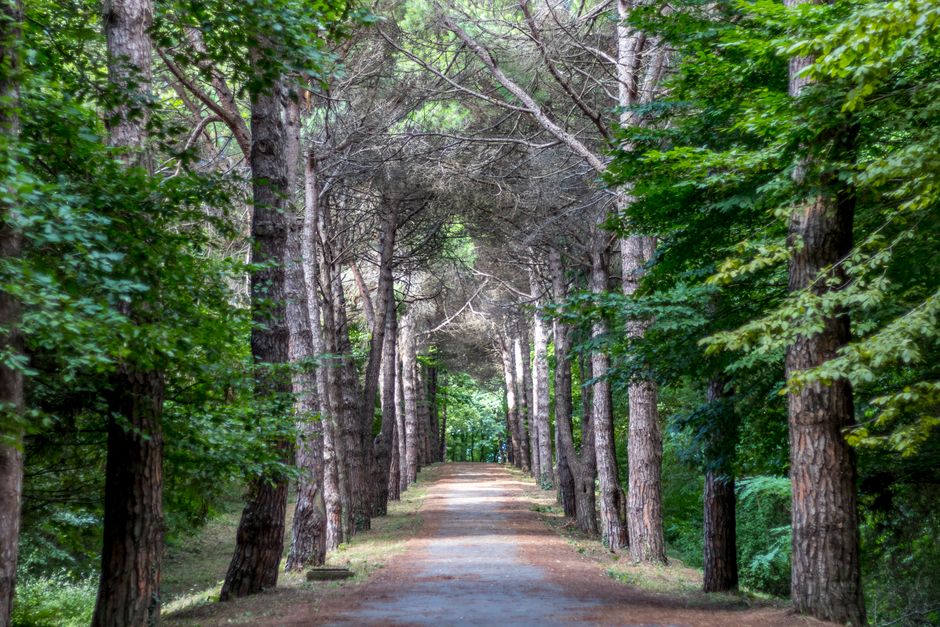 Small Lifestyle Changes That Matter: Where to Start — Part 2