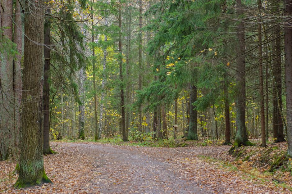 Stress: Signal, Response And Recovery: What Changes With Age