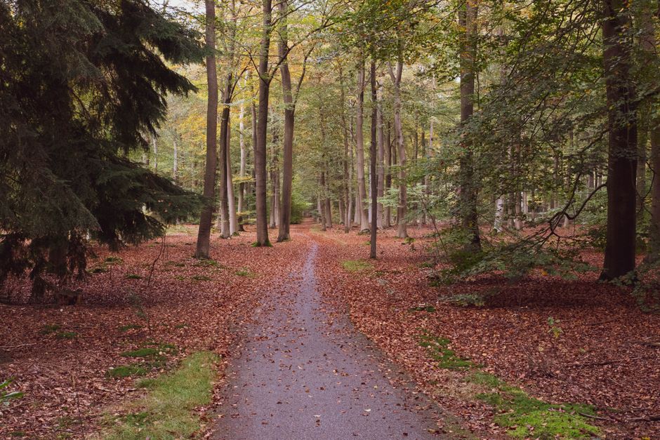 The Importance Of Personal Well-Being: Making It Part of Your Day