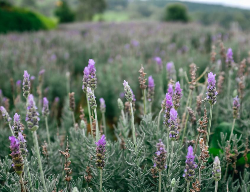 The Quiet Importance Of Rest: A Simple, Practical Guide