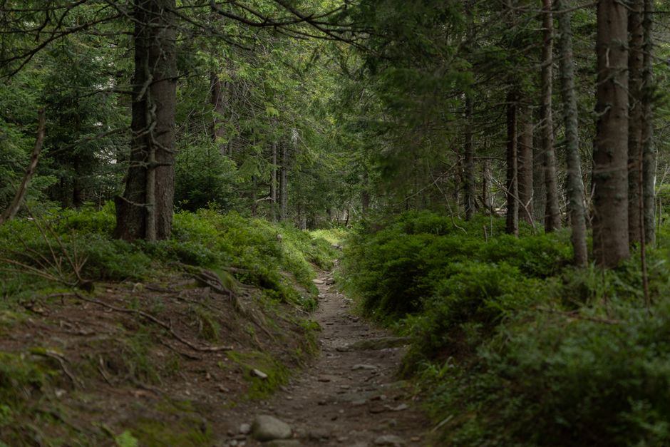 Understanding Health And Wellness: Practical Steps You Can Use — Part 2