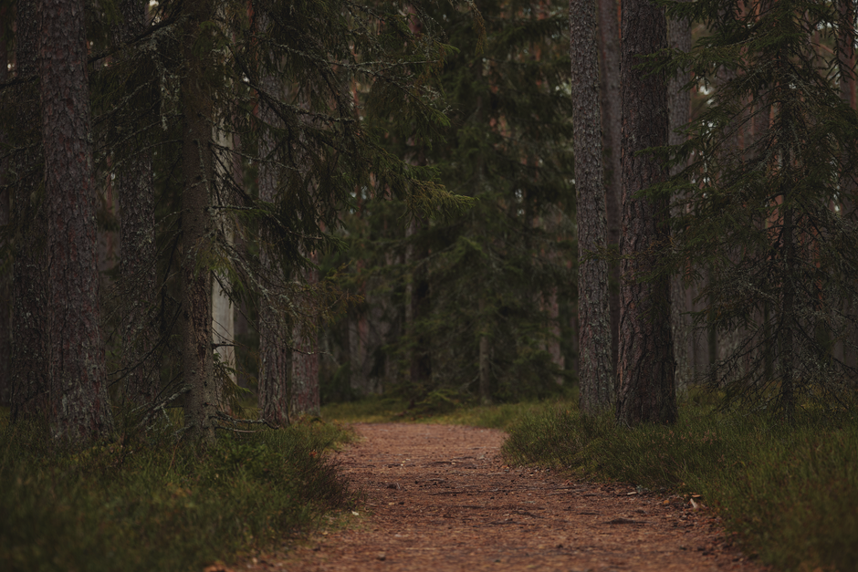 Understanding Health And Wellness When You're Short on Time — Part 2