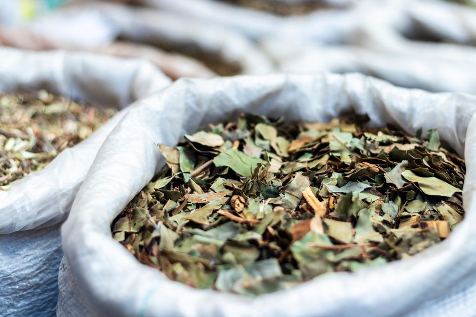 Understanding Herbs And Botanicals: A Cautious Look in Plain Terms