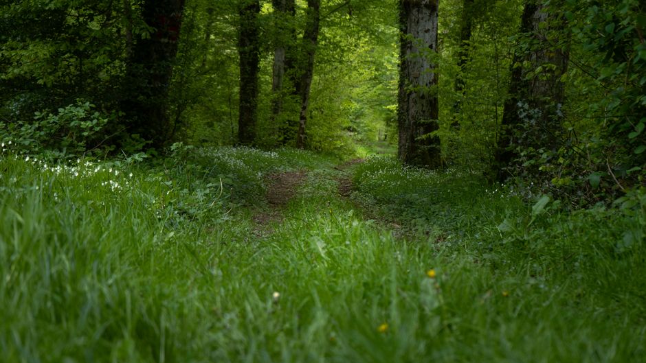 Understanding The Connection Between Body And Mind in Plain Terms — Part 2