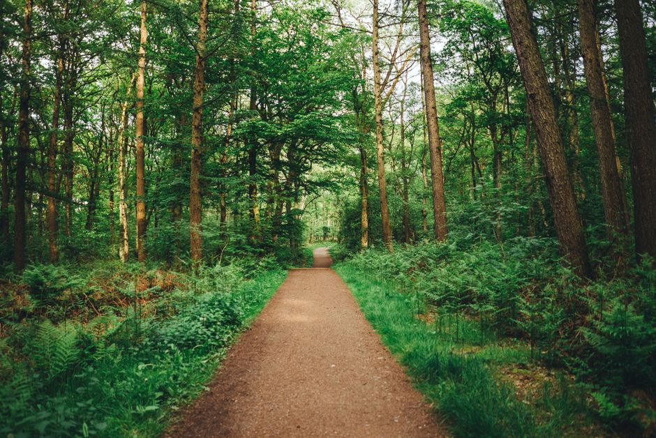 Understanding The Importance Of Personal Well-Being in Plain Terms — Part 2