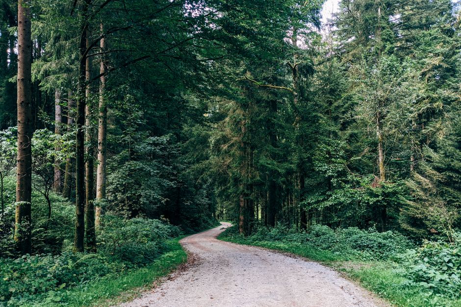 Wellness Without Perfectionism: A Simple Checklist — Part 2