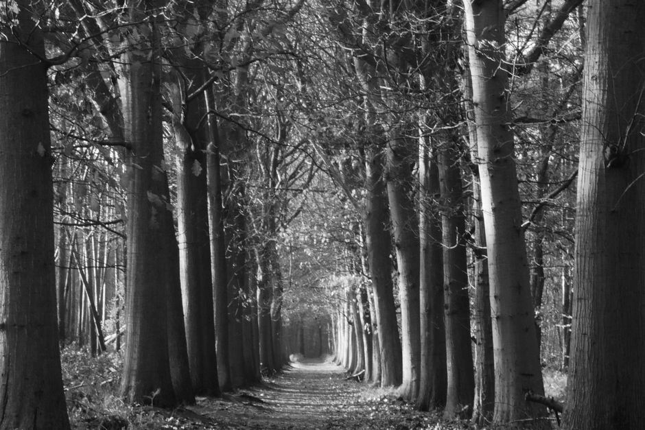 When Health Rules Isolate You: Finding Balance Beyond Perfection